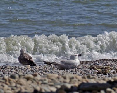 Прикрепленное изображение: DSCF7976.jpg